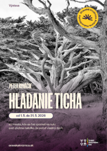 Výstava HĽADANIE TICHA